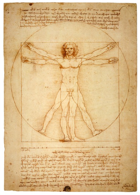 Vitruvian Man